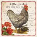 Geraniums & Rooster