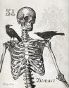Skeleton & Crows