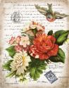 French Botanical I