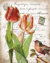 French Botanical II