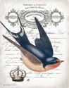 French Swallow II