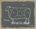 Sheep on Burlap