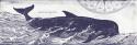 Whale on Cream I