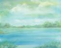 Marsh