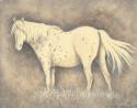 Classic Horse