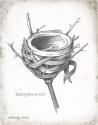 French Bird Nest I