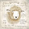 French Sheep