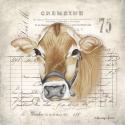French Cow