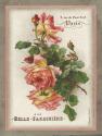 French Rose I