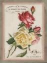 French Rose II