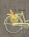 Spring Bike I