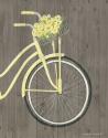 Spring Bike II