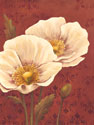 Poppies on Red