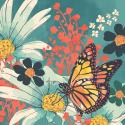 Monarch II