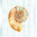 Beachcomber On Blue IV