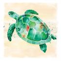 Sea Turtle