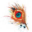 Feathers I