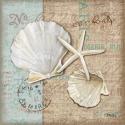 Linen Shells I