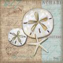 Linen Shells II