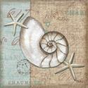 Linen Shells III