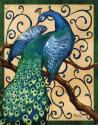 Majestic Peacock II