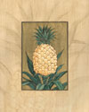 Queen Pineapple
