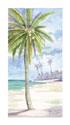 Palm Island I