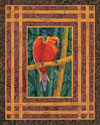 Mandarine Lovebird