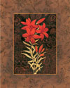 Damask Lily