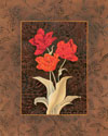 Damask Tulip