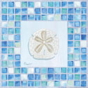 Mosaic Sanddollar