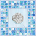 Mosaic Moonshell