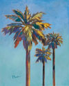 Santa Rita Palms I
