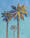 Santa Rita Palms II