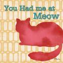 Patterned Pets Cat II