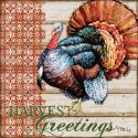 Give Thanks II