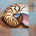 Sanibel Nautilus