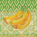 Fruit Ikat III