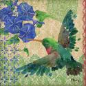Zealous Hummingbird II