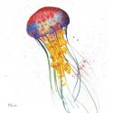 Deep Sea Jellies I