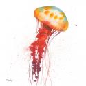 Deep Sea Jellies II