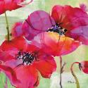 Amalfi Poppies