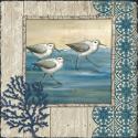 Sandpiper Shore I