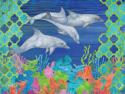 Geo Ocean Dolphins