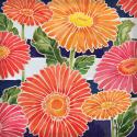 Gerbera Daisy Garden I