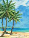 Palmas Belize I