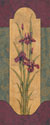 Greek Iris I