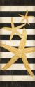 Gold Coast Starfish