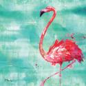 Arianna Flamingo II