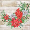 Holiday Cardinal II